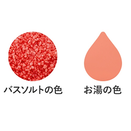 クナイプ　グーテエアホールング　バスソルト　ウィンターグリーン＆ワコルダーの香り　８５０ｇ　１個3