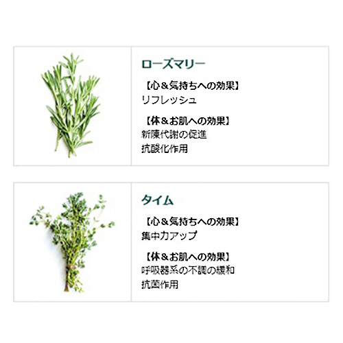 たのめーる】クナイプ バスソルト ローズマリー&タイムの香り