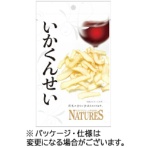 山栄食品工業　ネイチャーズ　いかくんせい　１８ｇ　１パック