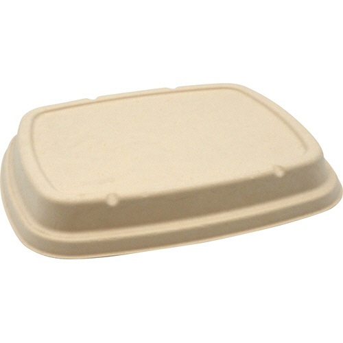 パックスタイル　ＢＢ竹バガス弁当　Ｎ２４－２０Ｆ　共蓋　２４５×２０５×高さ１８ｍｍ　１パック（５０枚）1