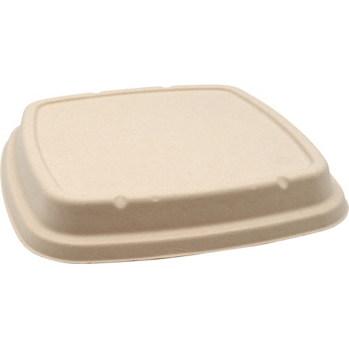 パックスタイル　ＢＢ竹バガス弁当　Ｎ２３－２３Ｆ　共蓋　２３５×２３５×高さ１８ｍｍ　１パック（５０枚）1