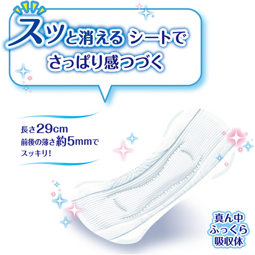 mi【100cc】チャームナップ 吸水さらフィ パウダーの香り28×６ チャームナップ 吸水さらフィ 多くても安心用 羽なし 100cc 29cm