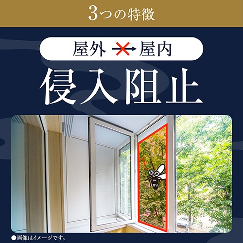 アース製薬　アース渦巻香　プロプレミアム　１箱（６０巻）4