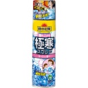 小林製薬　熱中対策　服の上から極寒スプレー　せっけんの香り　３３０ｍｌ　１本