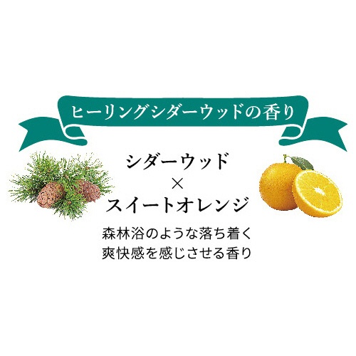 グローバルプロダクトプランニング　ビューウェル　アンドグッドナイト　ゆったりバスソルト　ヒーリングシダーウッド　４０ｇ　１個3