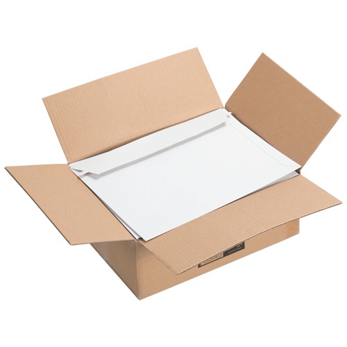 ＴＡＮＯＳＥＥ　ビジネス封筒　開封テープあり　３４０×２５０ｍｍ　３００ｇ／ｍ2　１セット（３００枚：１００枚×３ケース）2