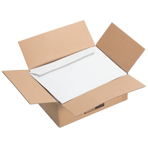 ＴＡＮＯＳＥＥ　ビジネス封筒　開封テープなし　３４０×２５０ｍｍ　３００ｇ／ｍ2　１セット（３００枚：１００枚×３ケース）2