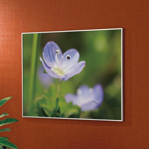 アートプリントジャパン　スタイリッシュパネル　Ａ４　外寸３０２×２１５ｍｍ　１００００３３５５９　１セット（１０枚）3