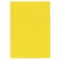 コクヨ　レールクリヤーホルダー（カラーズ）　ＰＥＴ　Ａ４タテ　２０枚収容　黄　フ－ＴＰＣ７６０Ｙ　１セット（５冊）