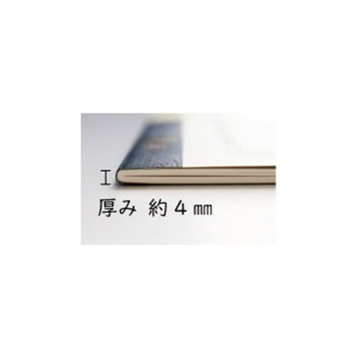 ツバメノート　大学ノート　Ｗ３０Ｓ　セミＢ５　Ａ罫　フールス　３０枚　Ｗ３００１　１セット（２０冊）5
