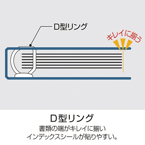 セキセイ　セパル　ロックリングファイル　Ａ４タテ　２穴　１５０枚収容　２０ｍｍとじ　背幅３２ｍｍ　ネイビーブルー　ＳＥＬ－２８３５－１５　１セット（１０冊）5