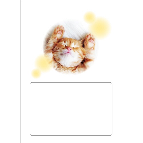 ダイオーミウラ　お薬手帳（薄型）　１６ページ　ねこ　１セット（１２００冊：１００冊×１２パック）2