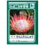 ショウワノート　ジャポニカ学習帳　かんじれんしゅう　Ｂ５　５０字　十字リーダー入　ＪＬ－４８　１セット（１０冊）