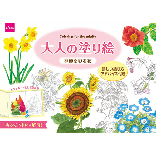 ダイソー 大人のぬりえ 4 大人の塗り絵 季節を彩る花 1セット 10冊