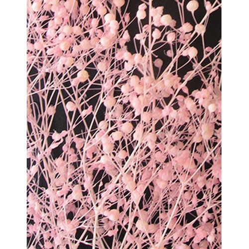 タケダ　かすみ草　Ｓ　ピンク　４０－０３１８　１セット（１０個）1