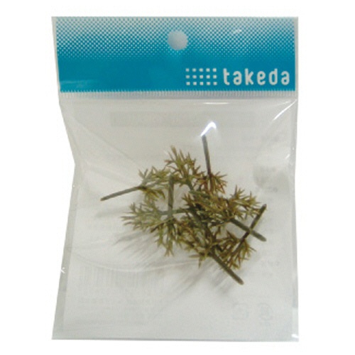 タケダ　ジオラマ樹木（枝）　プラスチック　３．２ｃｍ　４０－０３４３　１セット（１００個：１０個×１０パック）1