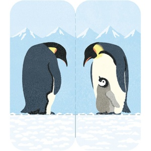 キングジム　フタマタフセン　イラストタイプ　Ｍサイズ　ペンギン　３５６０－００７　１セット（５冊）1