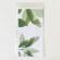今村紙工　ＯＰＰ袋　フラット（フタなし）　長３　１２０×２３５ｍｍ　０．０２５ｍｍ厚　ＯＰＰ２５－Ｎ３　１セット（１０００枚：１００枚×１０パック）3
