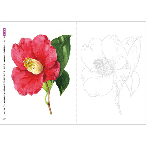 たのめーる ダイソー 大人のぬりえ 0515 大人の塗り絵 季節の花と実 1セット 10冊 の通販