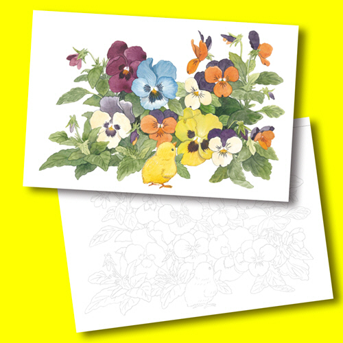 たのめーる ダイソー ぬりえ 0805 やさしい大人の塗り絵 彩の花と実 1セット 10冊 の通販