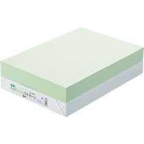 ＴＡＮＯＳＥＥ　αエコカラーペーパーＩＩ　Ｂ４　ライトグリーン　１セット（２５００枚：５００枚×５冊）1