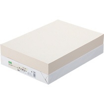 ＴＡＮＯＳＥＥ　αエコカラーペーパーＩＩ　Ｂ４　アイボリー　１セット（２５００枚：５００枚×５冊）1