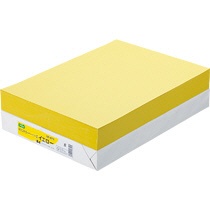 ＴＡＮＯＳＥＥ　αエコカラーペーパーＩＩ　Ｂ４　イエロー　１セット（２５００枚：５００枚×５冊）1