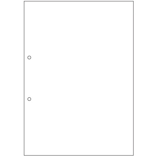 ＴＡＮＯＳＥＥ　マルチプリンタ帳票（スーパーエコノミー）　Ａ４　白紙　２穴　１セット（２５００枚：１００枚×２５冊）1