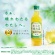 キリンビバレッジ　生茶　からだ晴れ茶　２８０ｍＬ　ペットボトル　１セット（４８本：２４本×２ケース）2