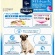 アース・ペット　ファーストチョイス　Ｃｈｏｉｃｅ　Ｓ　ダイエットしたい子に　成犬１歳以上　２．２ｋｇ（５５０ｇ×４袋）／パック　１セット（４パック）2