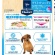 アース・ペット　ファーストチョイス　Ｃｈｏｉｃｅ　Ｓ　ダイエットしたい子に　高齢犬７歳以上　２．２ｋｇ（５５０ｇ×４袋）／パック　１セット（４パック）2