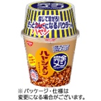 日清食品　完全メシ　ハヤシメシ　デミグラス　１１９ｇ　１ケース（６食）