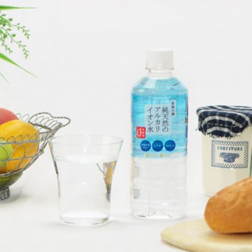 ケイ・エフ・ジー　純天然のアルカリイオン水　金城の華　５００ｍｌ　ペットボトル　１ケース（２４本）3