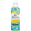 えひめ飲料　ＰＯＭ　塩と夏みかん　４９０ｍｌ　ペットボトル　１ケース（２４本）