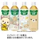 ダイドードリンコ　リラックマの緑茶　５００ｍｌ　ペットボトル　１ケース（２４本）1
