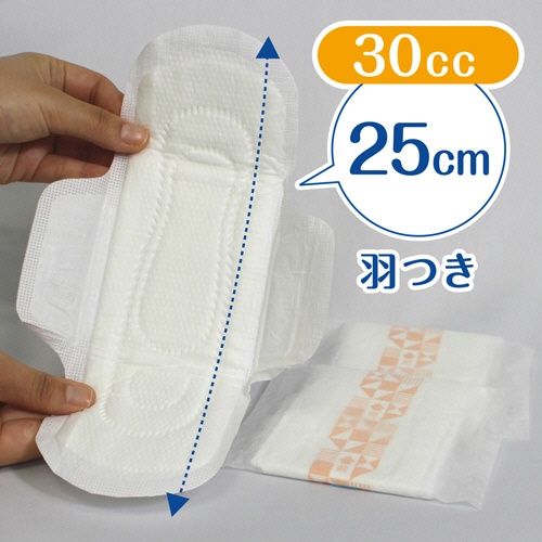 日本製紙クレシア　ポイズ　さらさら素肌　Ｈａｐｐｉｎｅｓｓｉｎ　吸水ナプキン　快適の少量用　３０ｃｃ　１セット（２８８枚：１２枚×２４パック）3