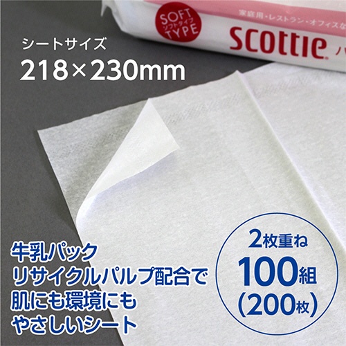 日本製紙クレシア　スコッティ　ハンドタオル１００　１００組／パック　１セット（６０パック）4