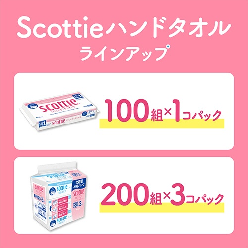 日本製紙クレシア　スコッティ　ハンドタオル１００　１００組／パック　１セット（６０パック）6
