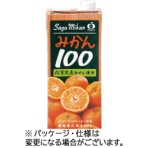 ジェイエイビバレッジ佐賀　みかん１００　１Ｌ　紙パック（口栓付）