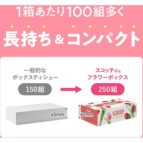 日本製紙クレシア　スコッティ　ティシュー　フラワーボックス　ポケモン　２５０組／箱　１セット（５４箱：３箱×１８パック）5