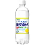 サンガリア　伊賀の天然水　強炭酸水　グレープフルーツ　ペットボトル