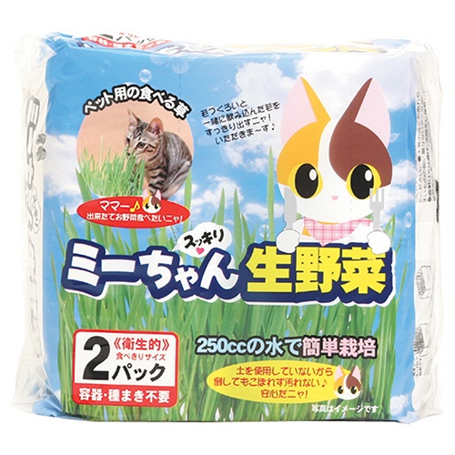イデシギョー　猫草　ミーちゃんスッキリ生野菜　１セット（２０個：２個×１０パック）1