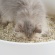 ピダンジェーピー　おからベントナイトミックス猫砂　２．４ｋｇ　１セット（４パック）7