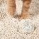 ピダンジェーピー　おからミックス猫砂（潜血チェック顆粒入り）　２．４ｋｇ　１セット（４パック）6