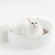 ピダンジェーピー　コーヒー＆ベントナイトミックス猫砂　２．４ｋｇ　１セット（４パック）9