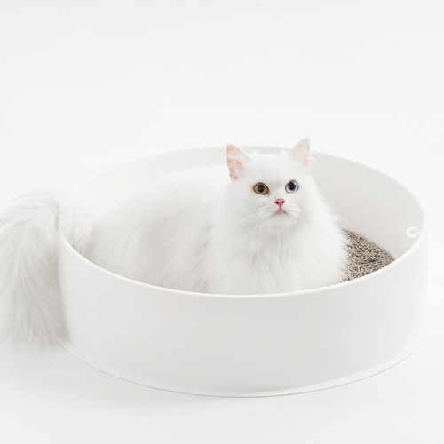 ピダンジェーピー　コーヒー＆ベントナイトミックス猫砂　２．４ｋｇ　１セット（４パック）9