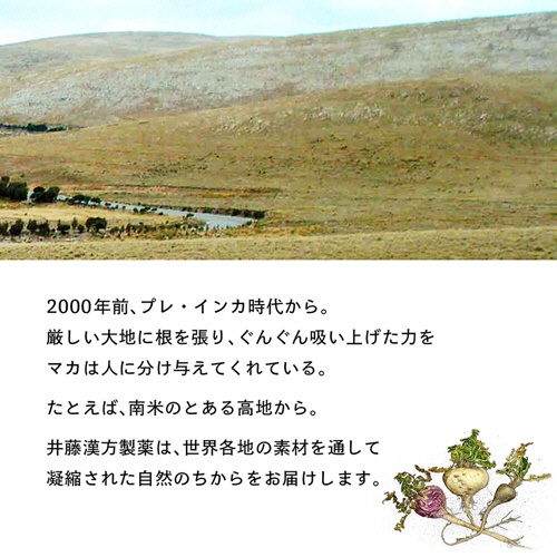井藤漢方製薬　マカ６６００極感ＭＥＧＡ　ＭＡＸ　５０ｍＬ　瓶　１セット（１０本）5