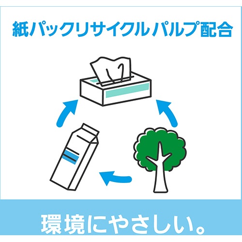 日本製紙クレシア　スコッティ　キレイの仕上げ　ハンドタオル１００　１００組／パック　１セット（６０パック）7