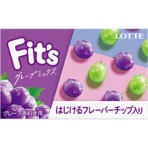 ロッテ　Ｆｉｔｓ　ガム