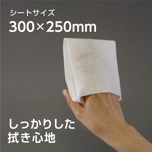 日本製紙クレシア　アクティ　クリーンドライタオル　しっかりタイプ　１セット（６０枚：３０枚×２パック）7